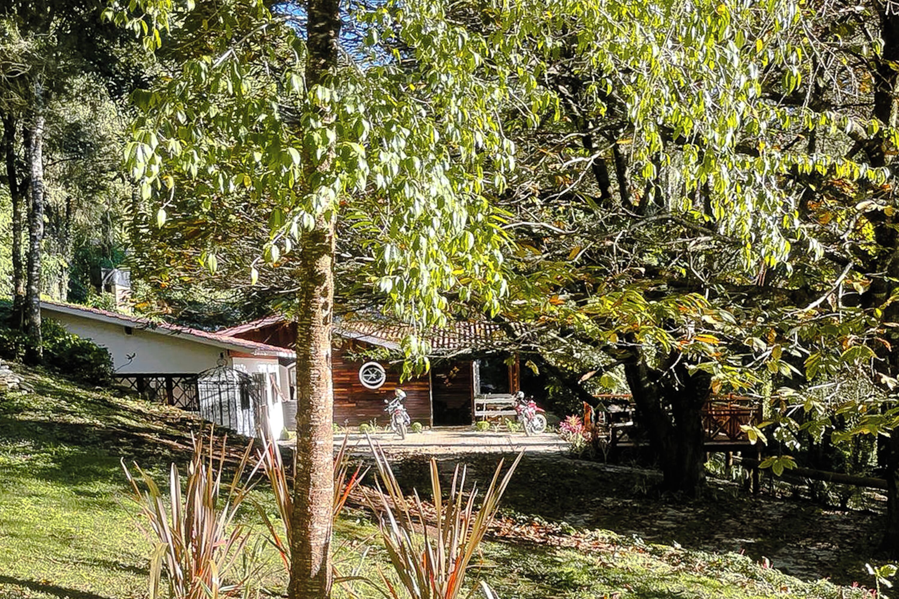 Garden