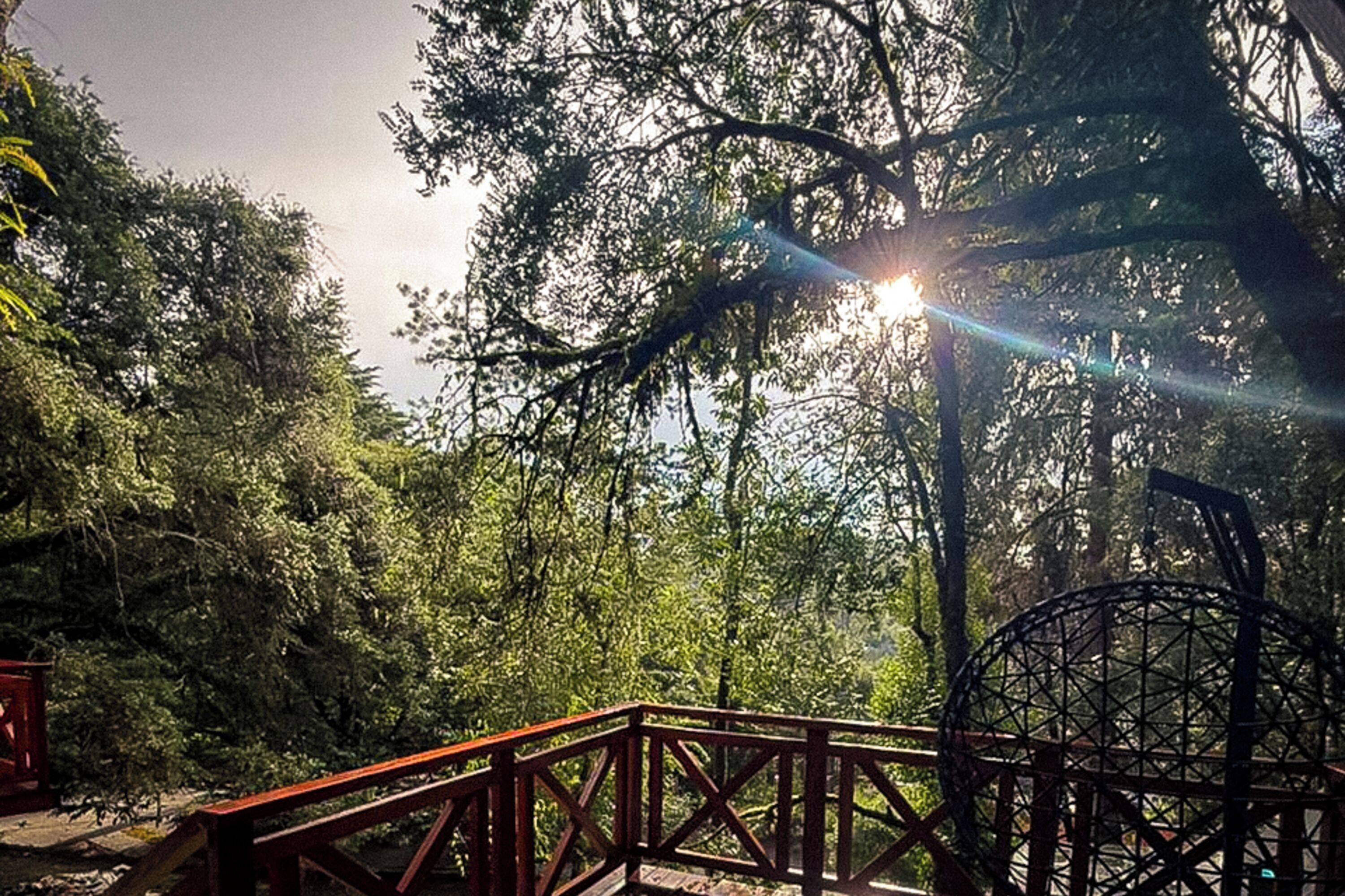 Un pont en bois, situé dans une zone boisée, où la lumière du soleil filtre à travers les arbres.