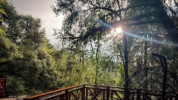 Un pont en bois, situé dans une zone boisée, où la lumière du soleil filtre à travers les arbres.