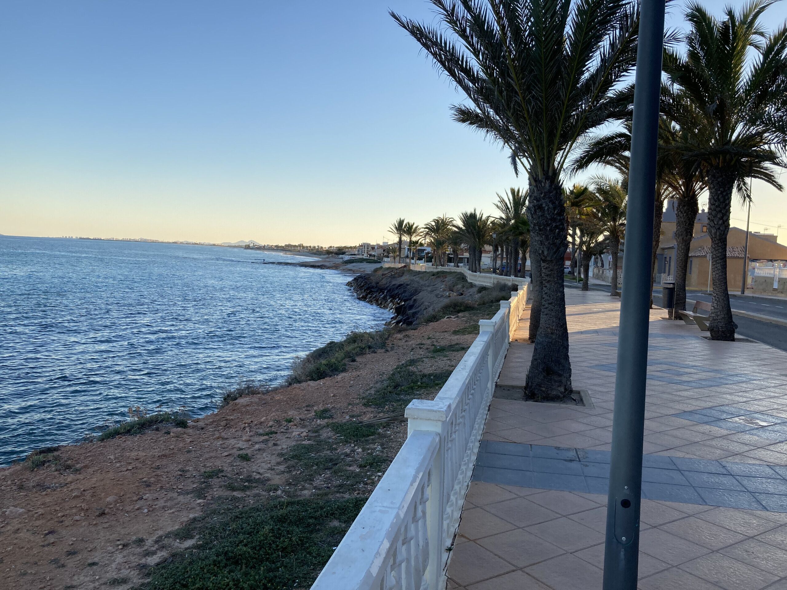 Une promenade en bord de mer, avec un sentier pavé, des palmiers et une vue sur la mer.