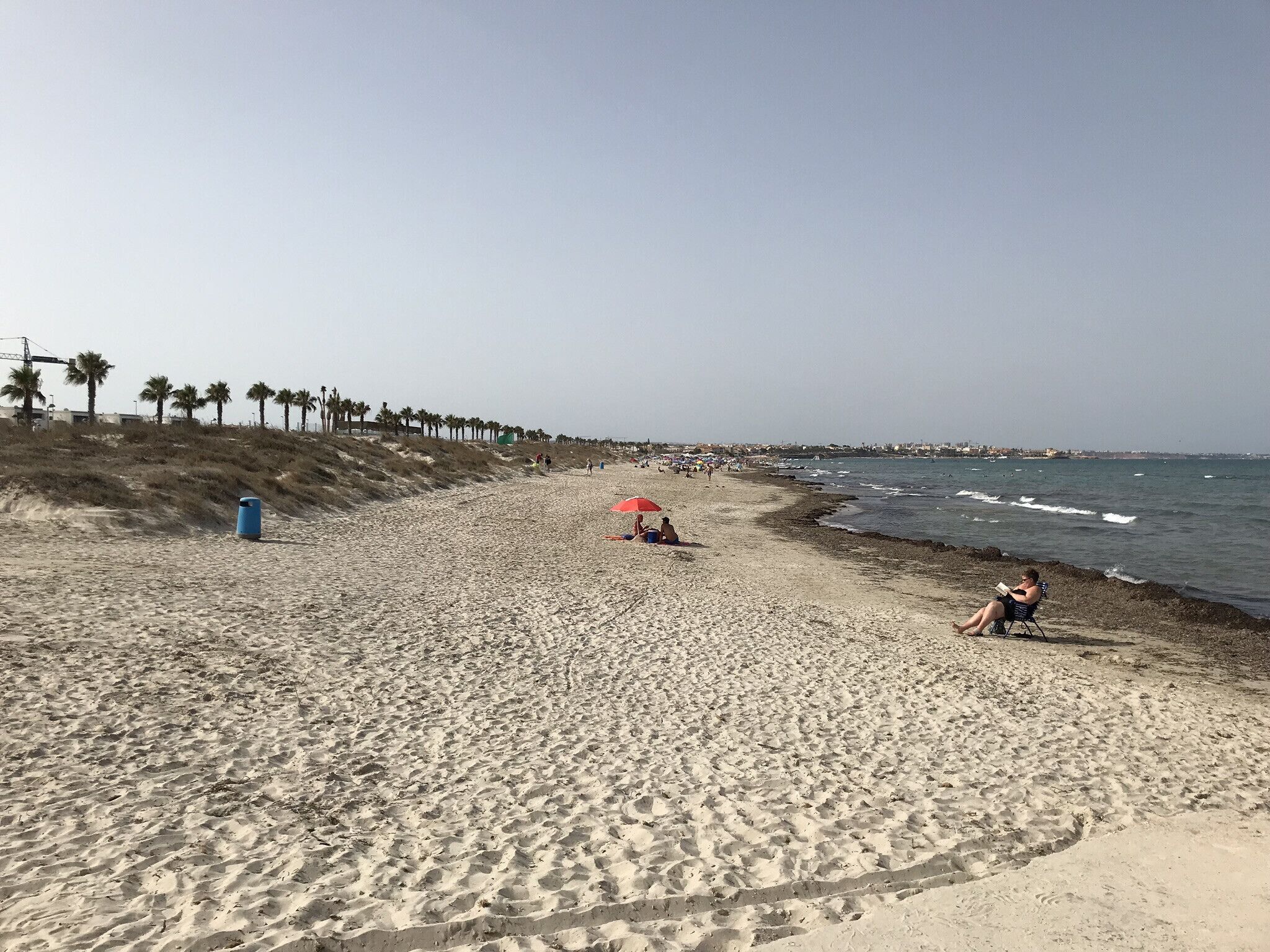 A beach with a clear sky, palm trees, and a few people.