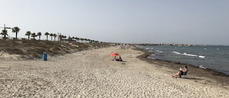 A beach with a clear sky, palm trees, and a few people.