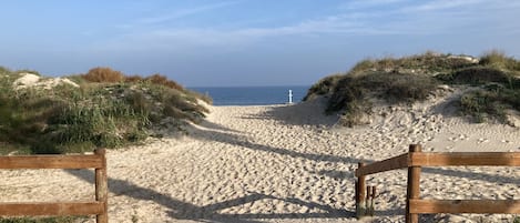 A wooden boardwalk leading to a sandy beach with dunes and a clear sky.
