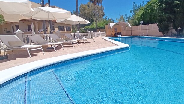 Piscina com espreguiçadeiras e guarda-sóis, cercada por palmeiras e um edifício.