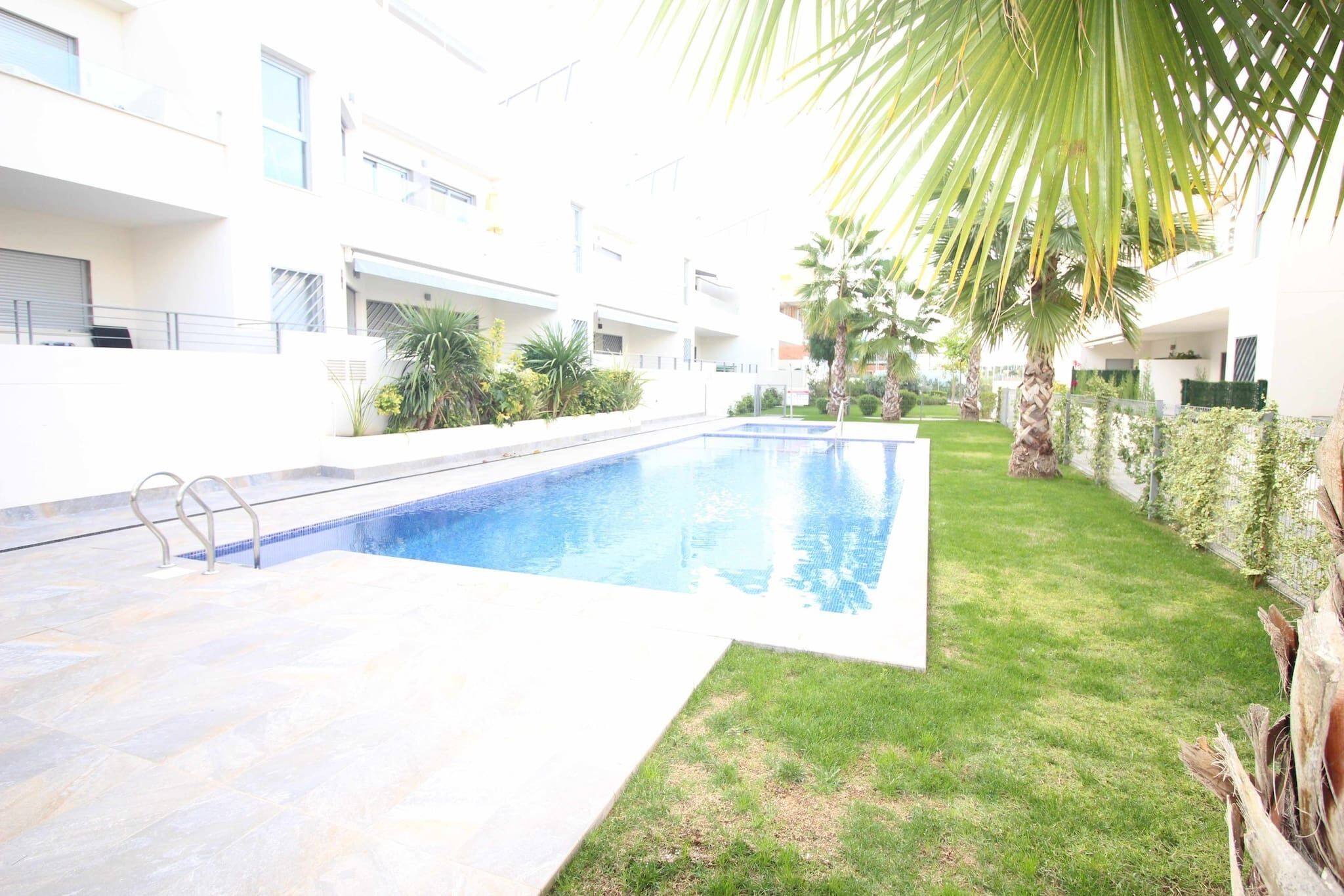 A swimming pool with a metal ladder, surrounded by a well-maintained lawn and palm trees.