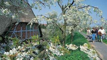 Ferienhaus | Außenbereich