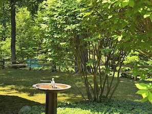 Un jardín con una fuente, un banco y un árbol.