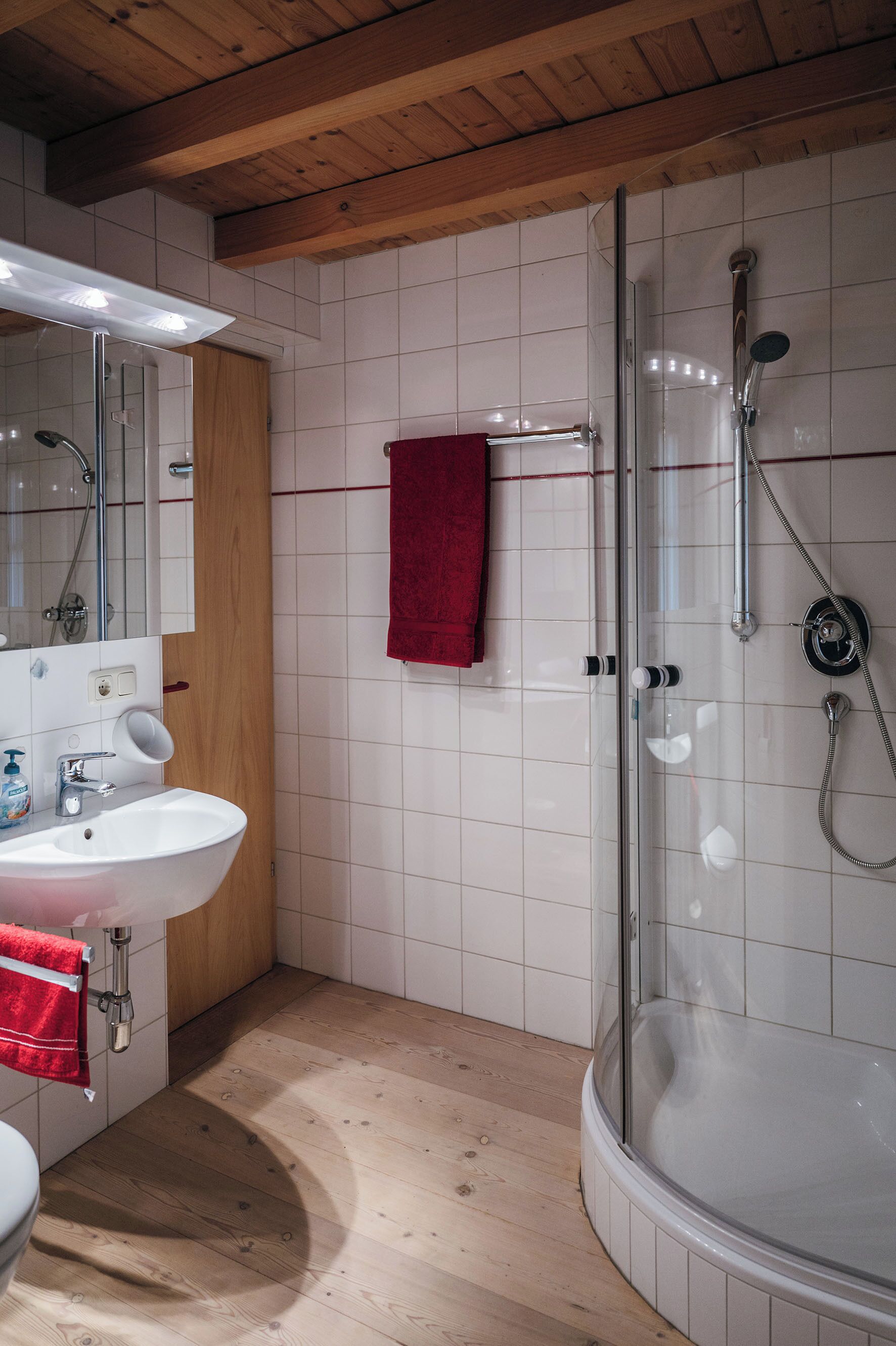 Hair dryer, towels, toilet paper