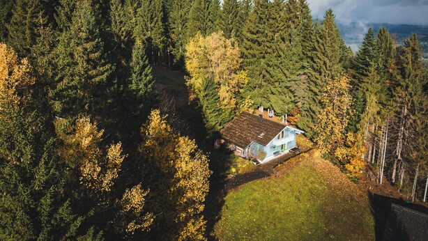 Una casa rodeada de un bosque frondoso con una vista despejada del cielo.
