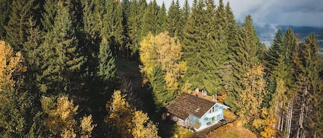 A house surrounded by dense forest with a clear view of the sky.