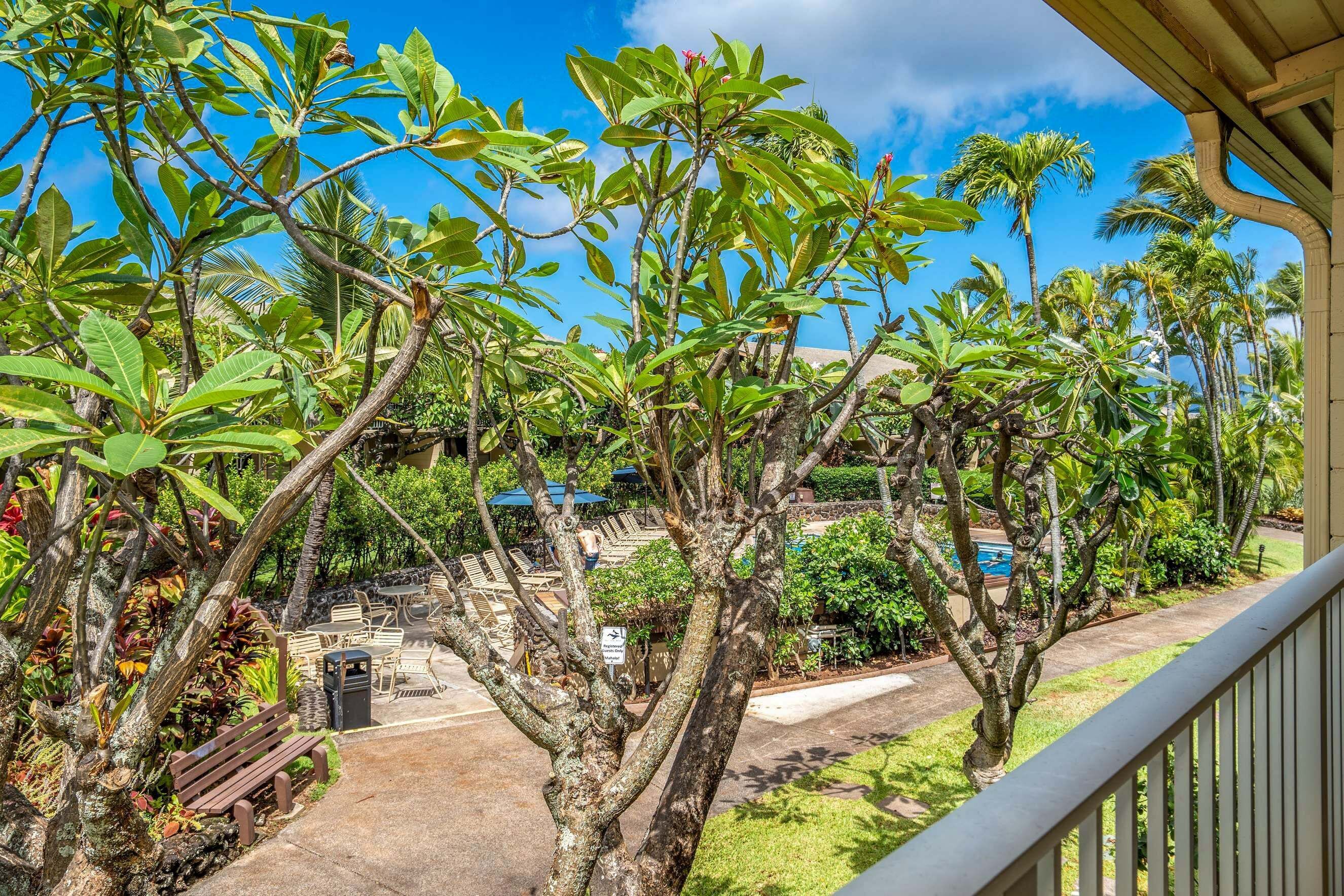 A tropical garden with palm trees, a pool area, and outdoor seating.
