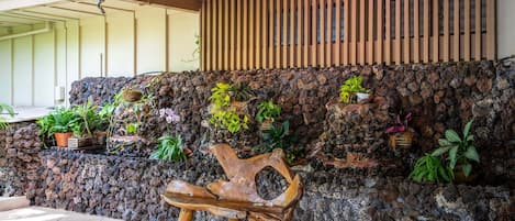 A stone wall with various potted plants and a wooden bench in a shaded outdoor area.
