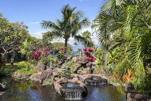 Un jardín tropical con un estanque, rocas y palmeras.