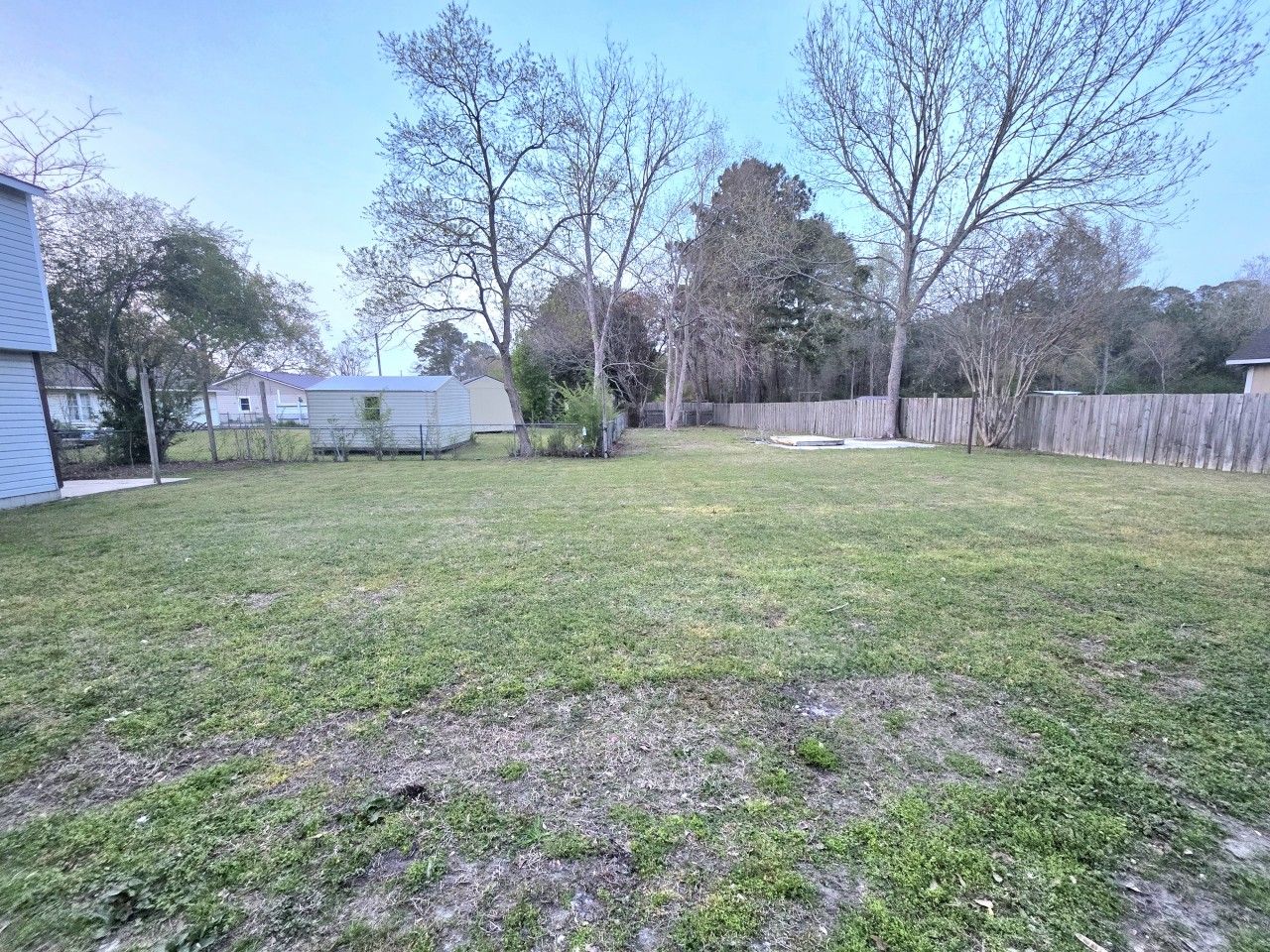 A backyard with a wooden fence, a shed, and a house in the background.