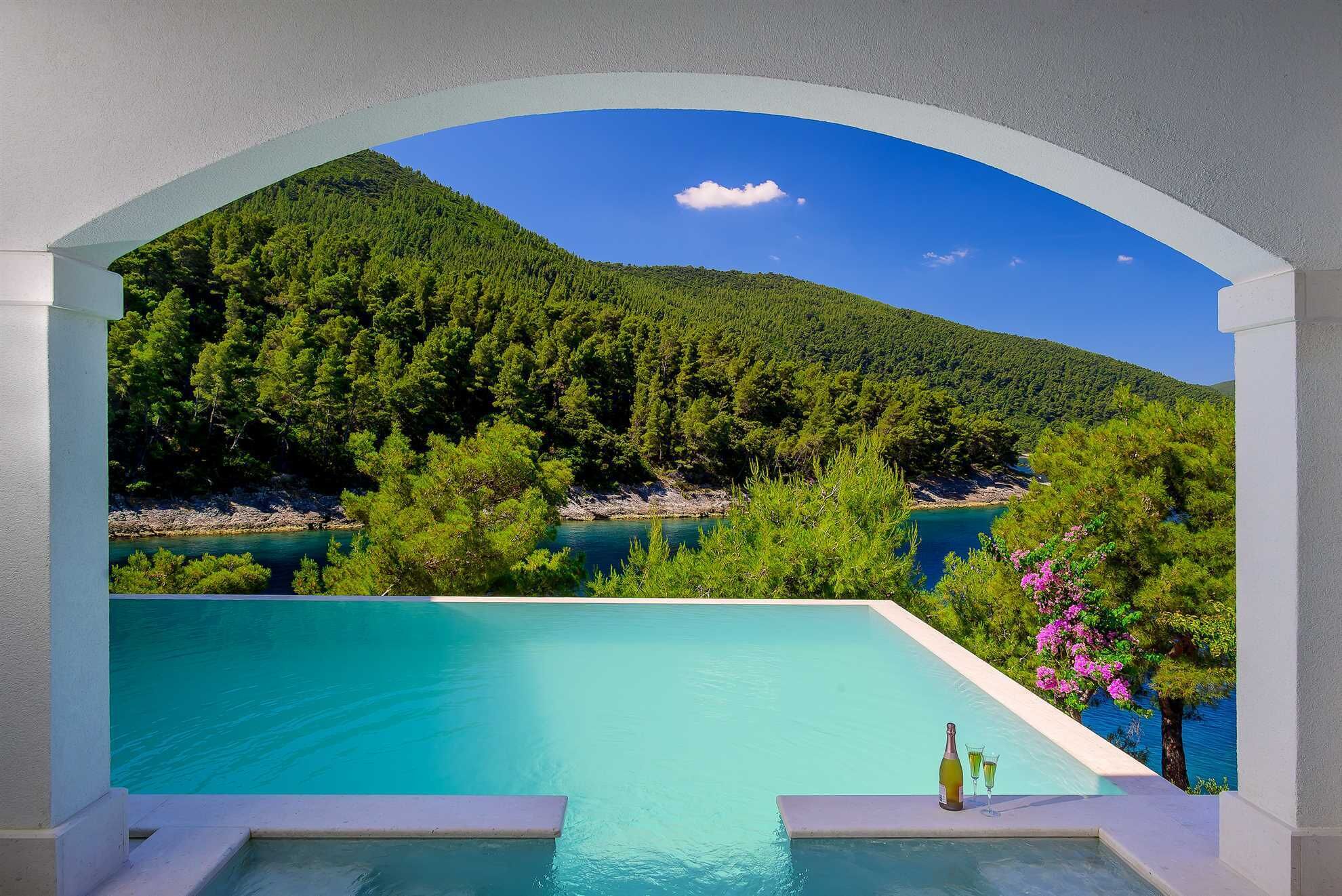 An infinity pool with a view of a forested hillside and a clear blue sky.