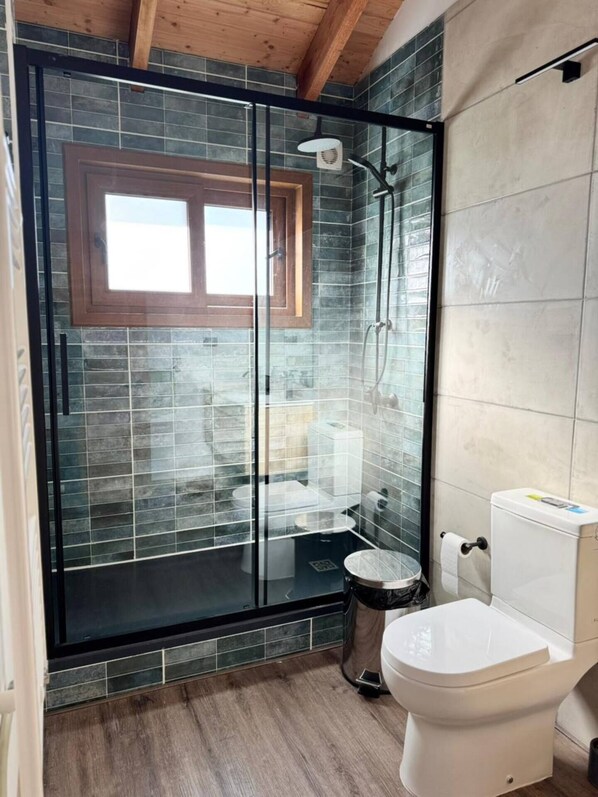 A modern bathroom with a glass shower enclosure, a toilet, and a sink.