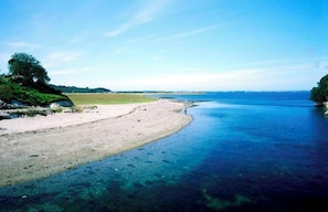 A coastal landscape with a sandy beach, clear water, and a tree on a small hill.