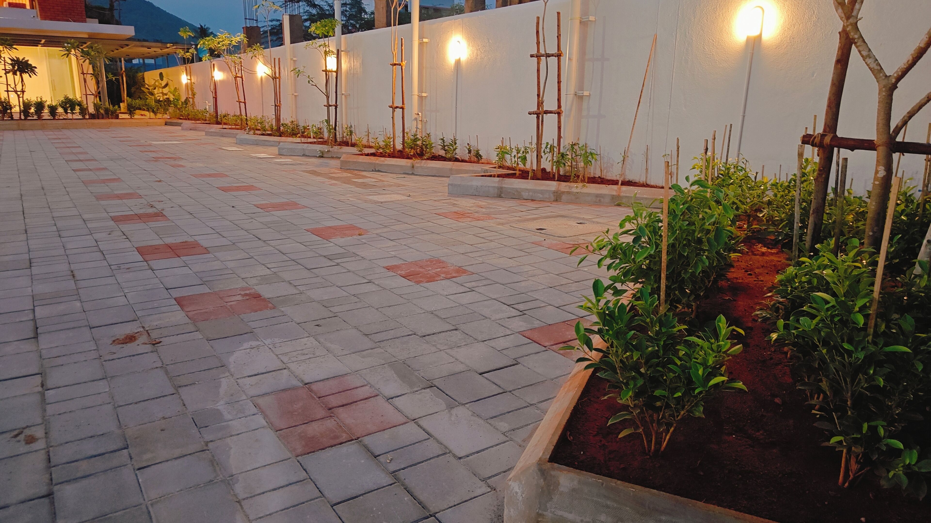 Un espacio al aire libre empedrado, con un muro blanco y plantas.