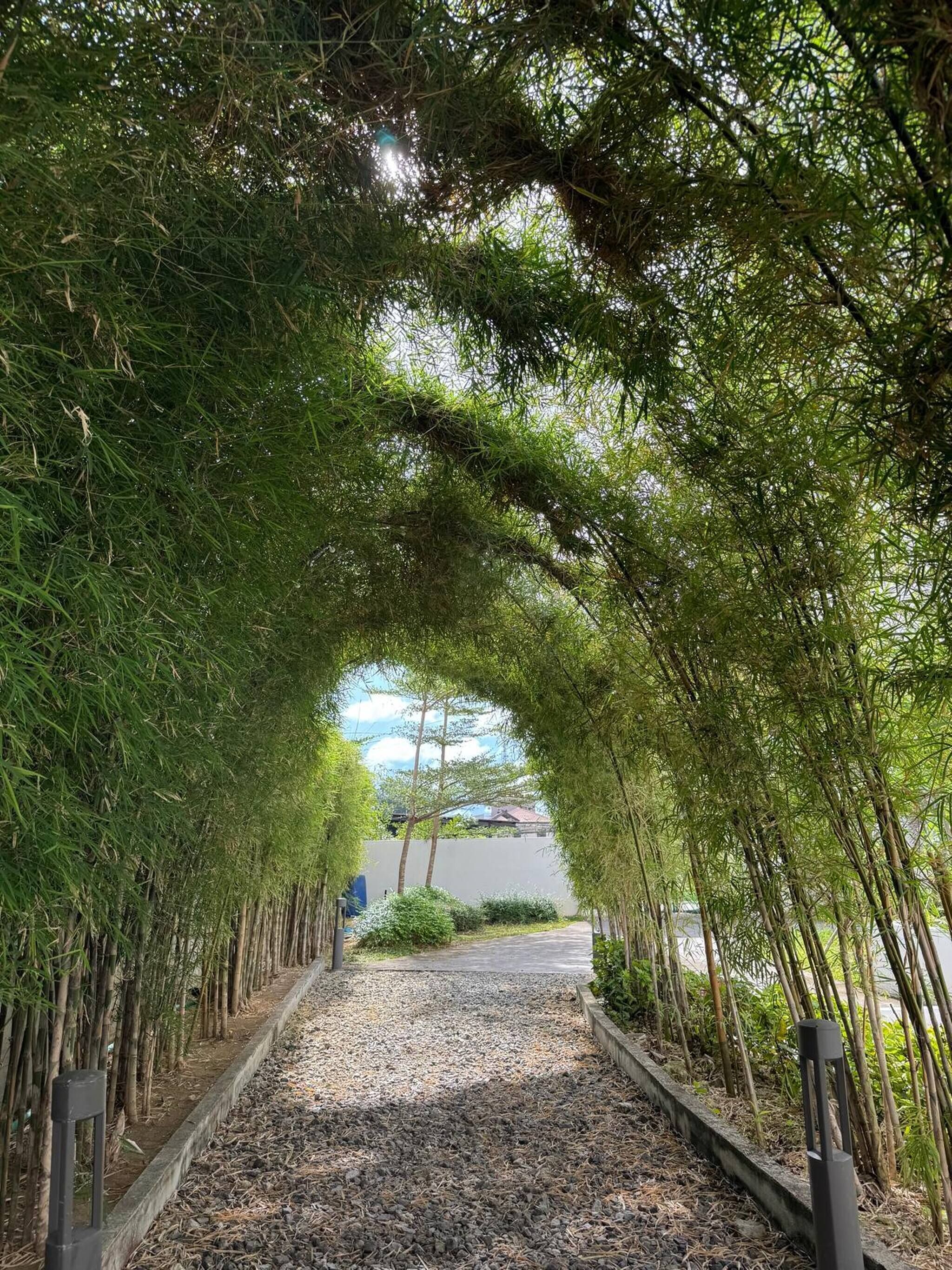 Apartment, 1 Bedroom | Garden