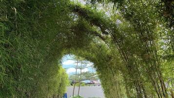 Apartment, 1 Bedroom | Garden
