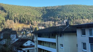 Ein Wohngebiet mit Häusern und einem bewaldeten Hügel im Hintergrund.