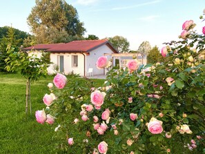 Exterior - Pool & Garden Small House (Veneto)
