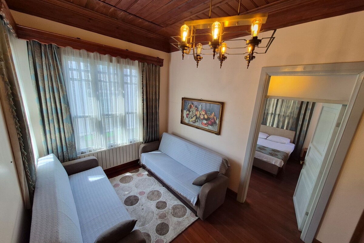 A room with a sofa, a bed, a painting, and a chandelier.
