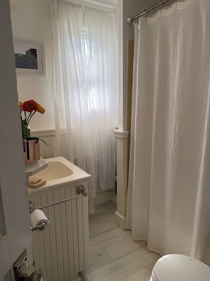 Hair dryer, towels, soap, toilet paper - Fabulous 3-bedroom apartment in charming Salem (Salem)