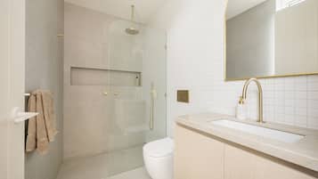 Shower, hair dryer, towels