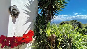 Pared blanca con una escultura de piedra, flores rojas y follaje verde.