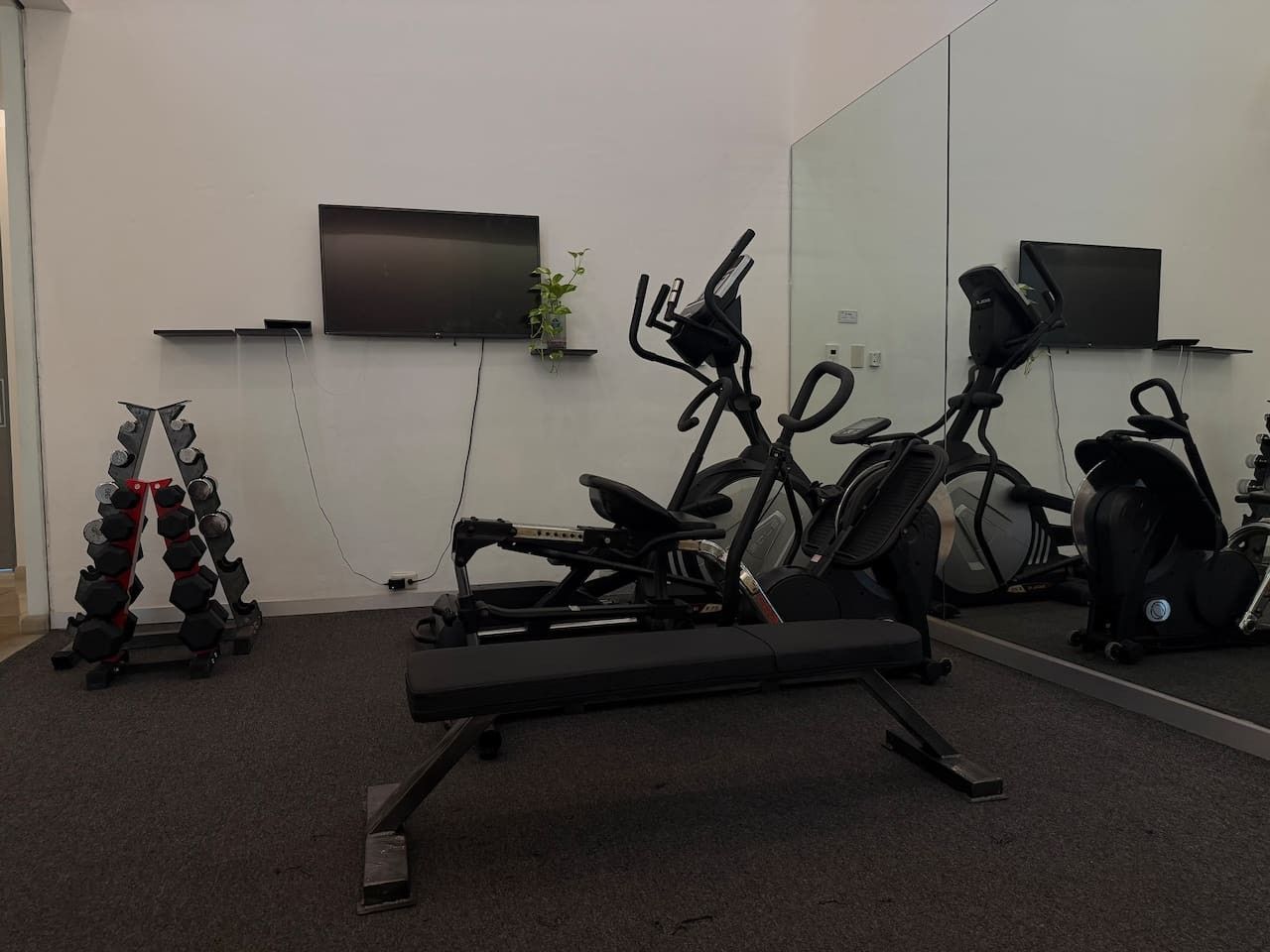 A gym with exercise equipment, a television, and a plant.