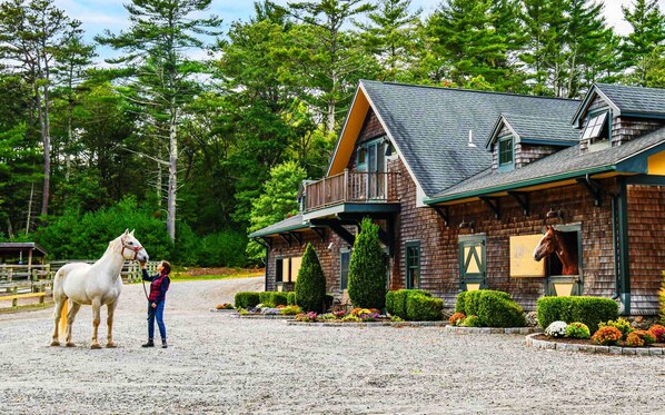 Un bâtiment rustique en bois, avec une étable et un cheval.