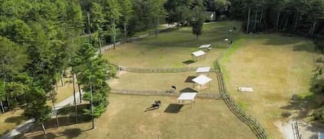 Property grounds