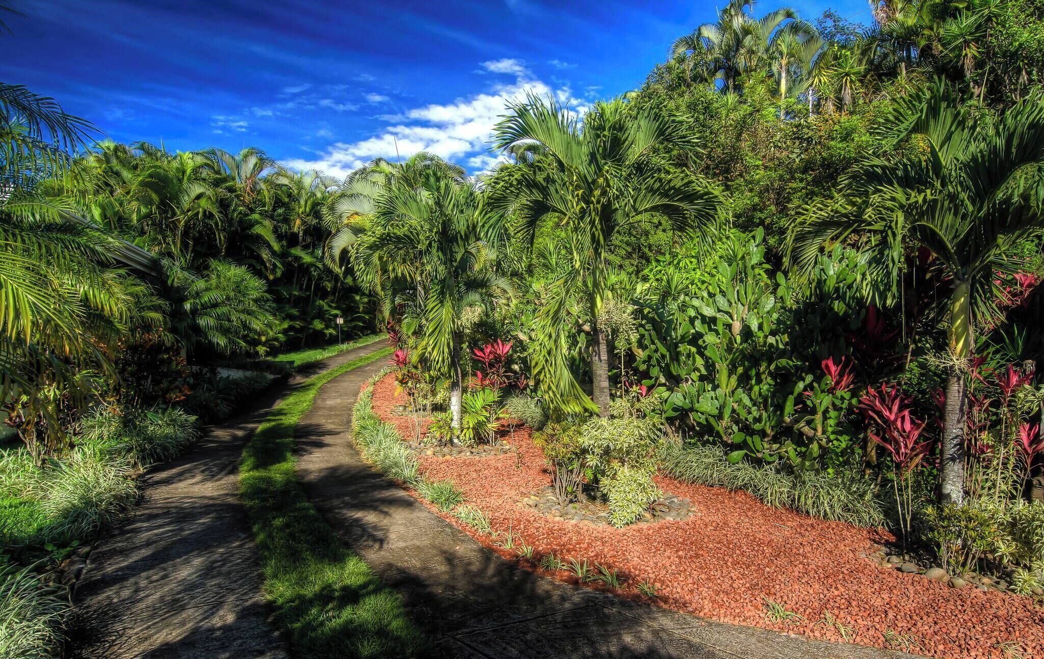 A pathway through a lush garden with various tropical plants and trees.