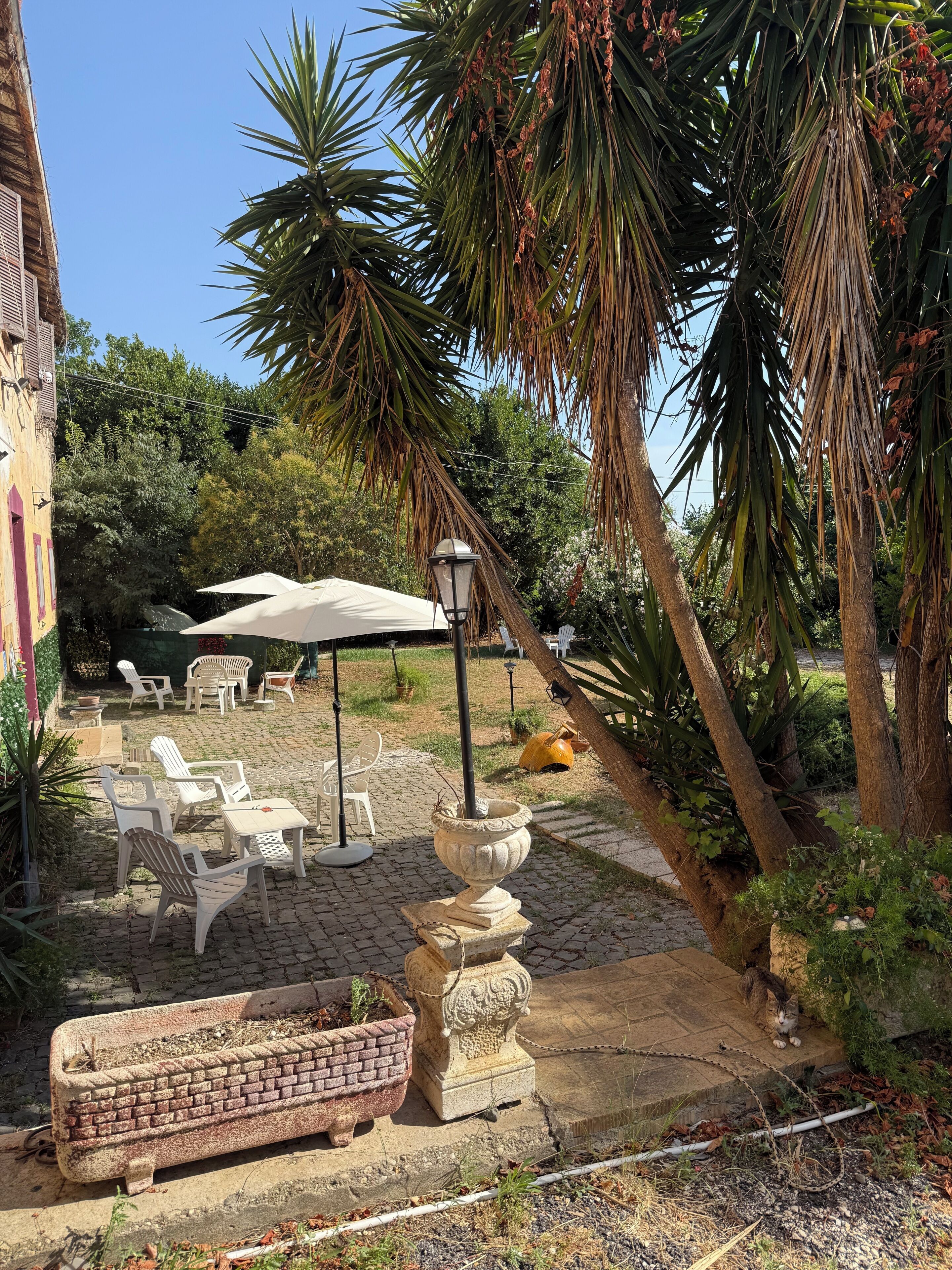 Terrasse/patio