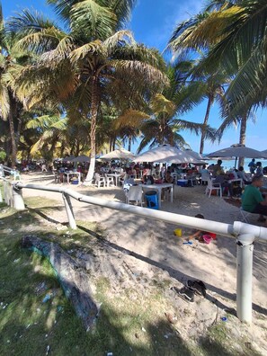 Un espace de restauration situé au bord de la plage, avec des tables et des chaises, des palmiers et une vue sur l’océan.