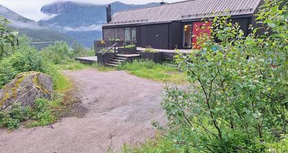 Cabin with sauna and fire pit