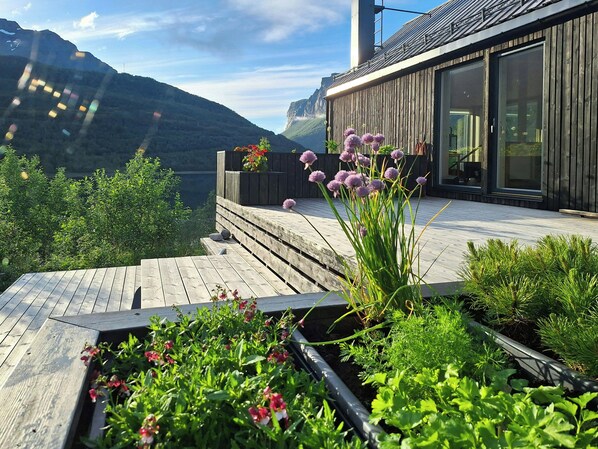 A wooden deck with a view of mountains, a modern building with large windows, and various plants.