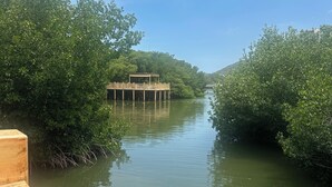 A calm river with a wooden walkway and dense greenery on both sides. - Charming 3-bedroom apartment in vibrant Gaira perfect for relaxing (Gaira)