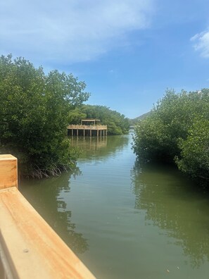 A calm river with a wooden walkway and dense greenery on both sides. - Charming 3-bedroom apartment in vibrant Gaira perfect for relaxing (Gaira)