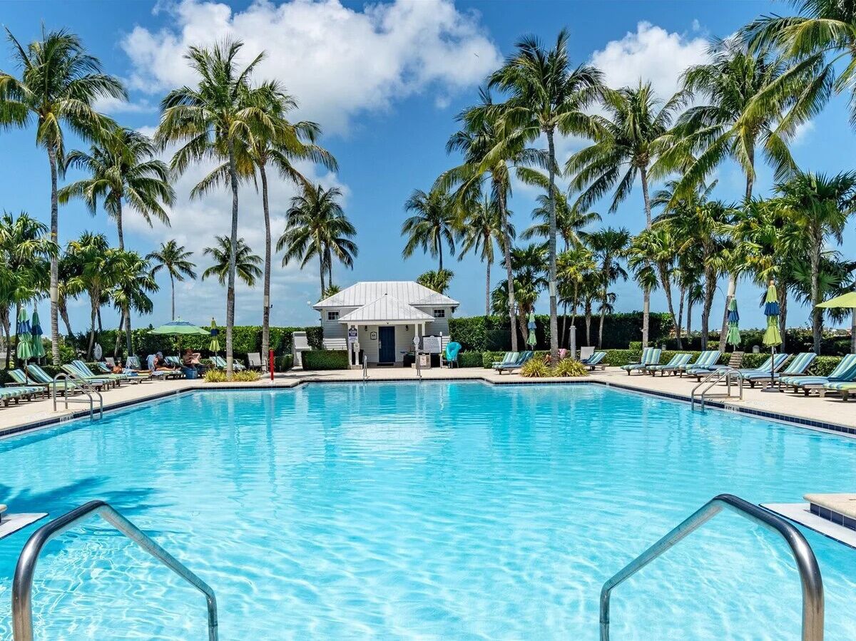 Une piscine avec des chaises longues et des palmiers.