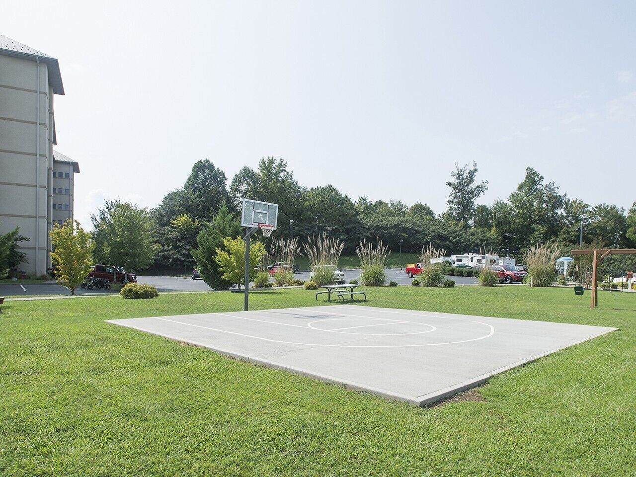 A basketball court with a hoop, surrounded by grass and trees.