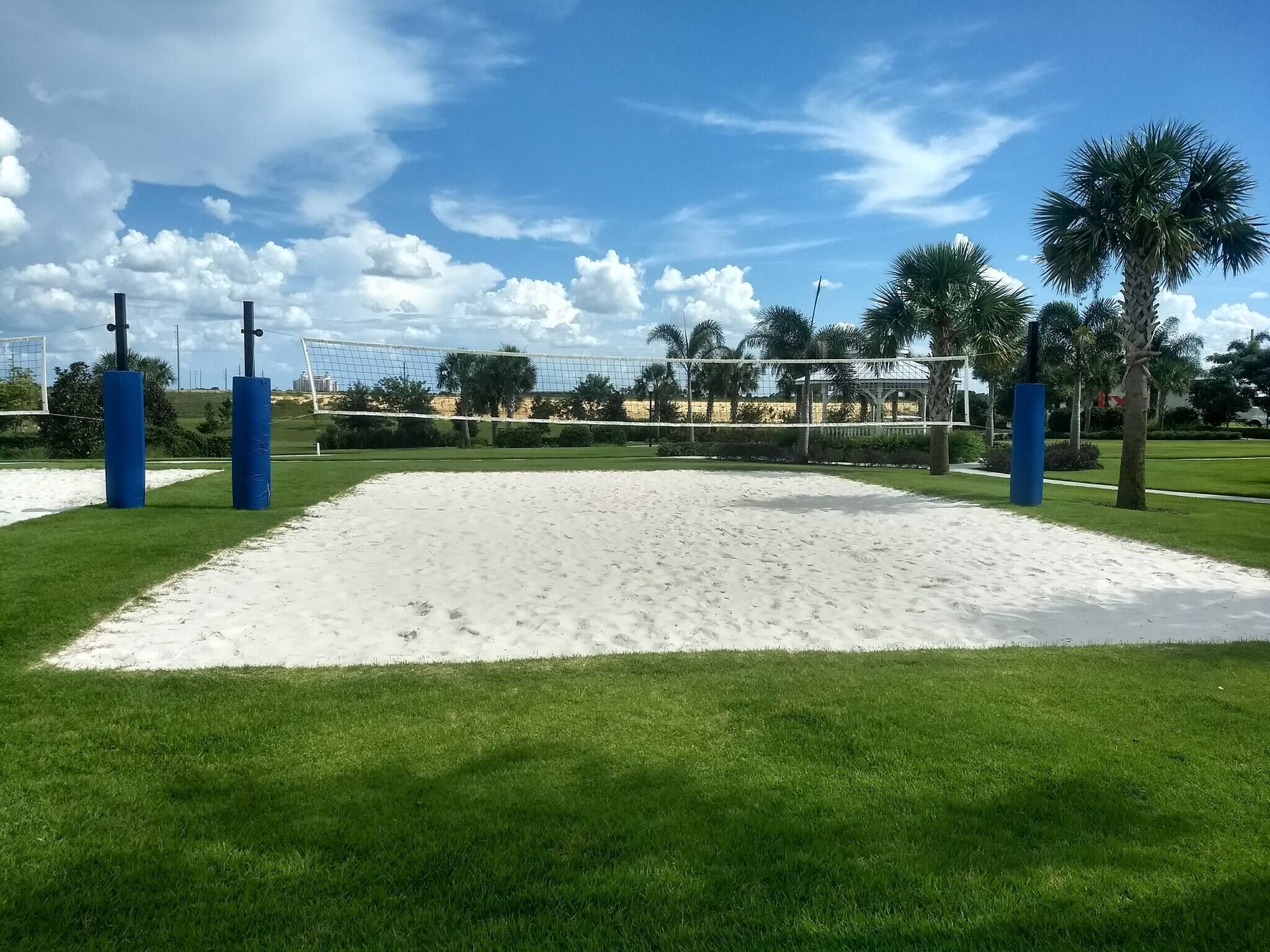 A volleyball court with a net, surrounded by sand and grass, with palm trees and a clear sky in the background.
