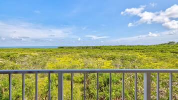 A view from a balcony with a railing, overlooking a coastal landscape with dense vegetation and a clear sky.
