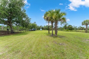A grassy area with trees and a fenced property.
