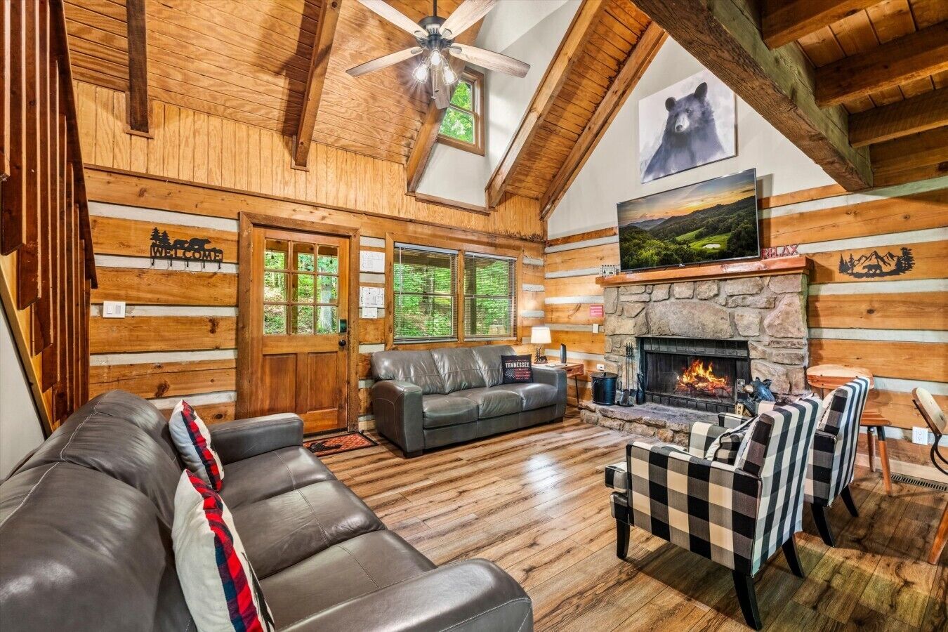 TV, fireplace