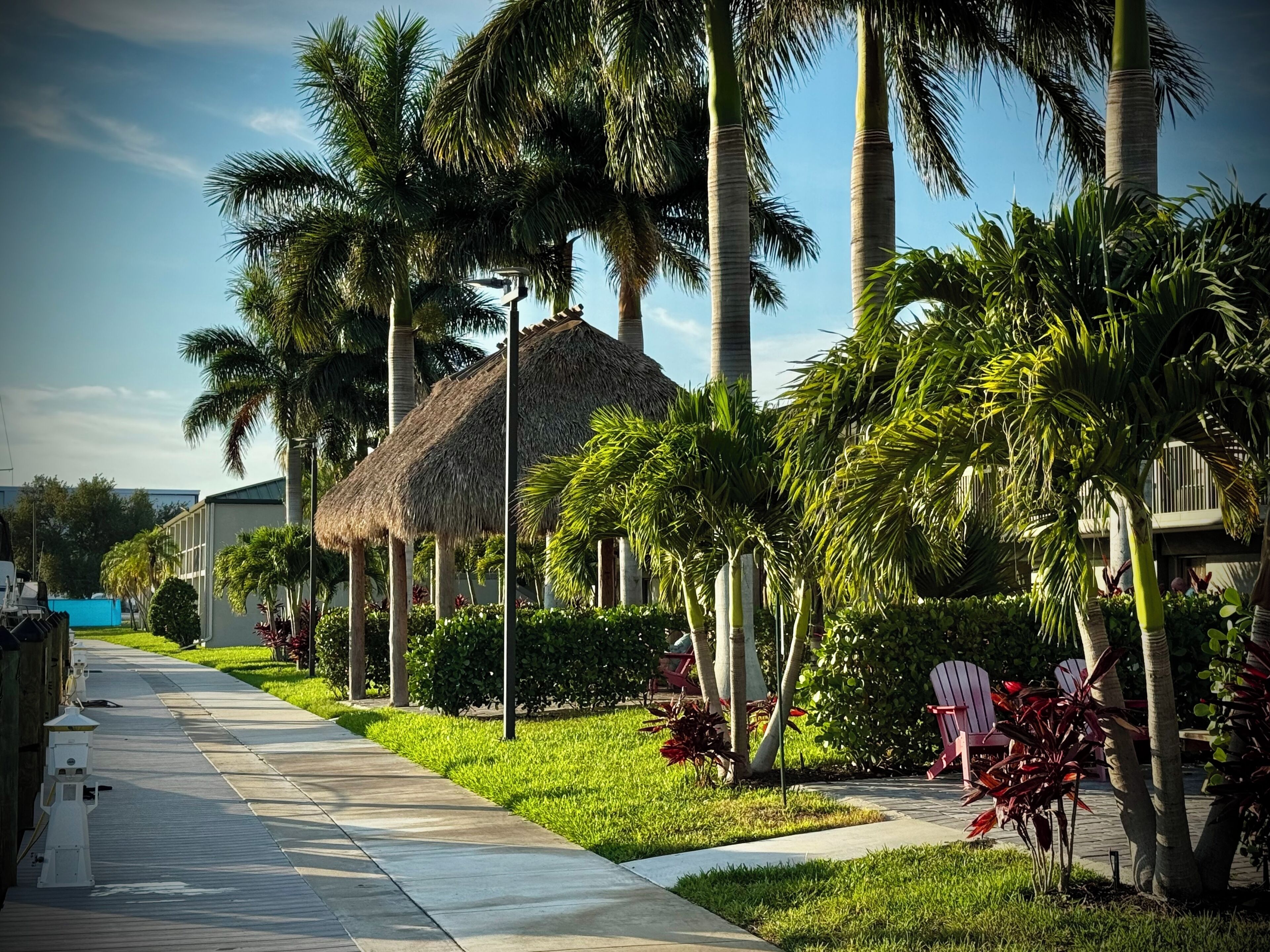 A pathway lined with palm trees and a thatched-roof structure, leading to a building with a modern design.