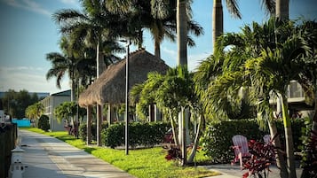 A pathway lined with palm trees and a thatched-roof structure, leading to a building with a modern design.