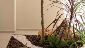 Eine kleine Zimmerpflanzenanordnung mit Baum, Farne und Steingarten.