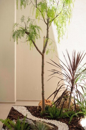 A small indoor plant arrangement with a tree, ferns, and a rock garden. - Villa Penelope, Heraklion, Crete, Gazi (Gazi)